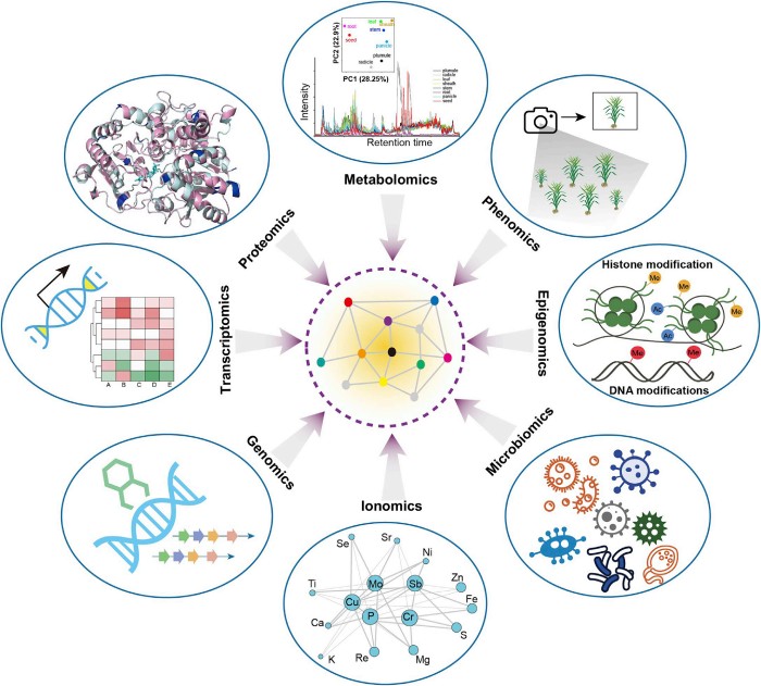 如何保持凈化工程清潔干凈